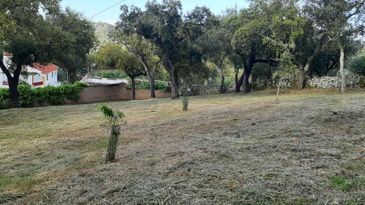 Casa Do Passaro Villa Galegos  ภายนอก รูปภาพ