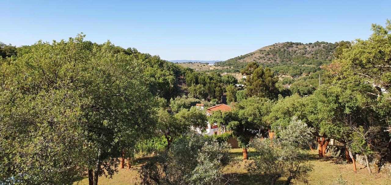 Casa Do Passaro Villa Galegos  ภายนอก รูปภาพ